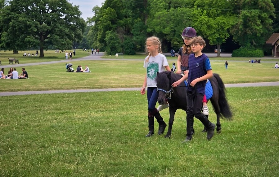 PROMENADE PONEY